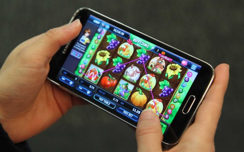 Các bước đăng ký và tham gia cá cược trực tuyến